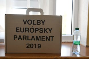 Voľby do Európskeho parlamentu (eurovoľby) 2019 na Slovensku