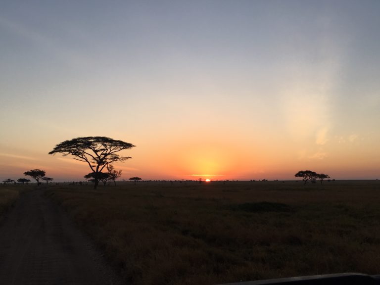 Afrika