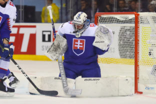 MS v hokeji 2019: Slovensko  Fínsko