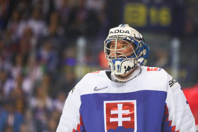 MS v hokeji 2019: Slovensko - Nemecko