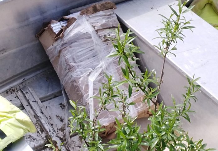 pašované cigarety