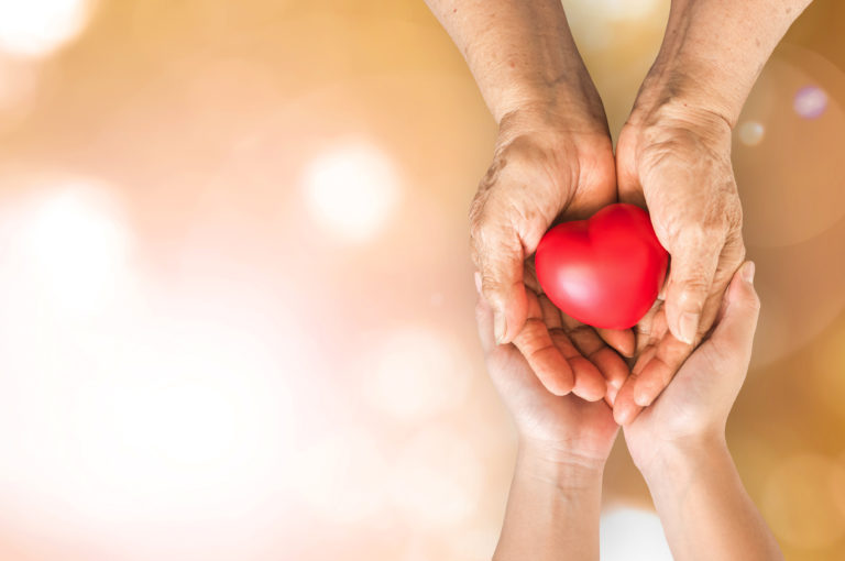 Elderly senior person or grandparent's hands with red heart  in support of nursing family caregiver for national hospice palliative care and family caregivers month concept