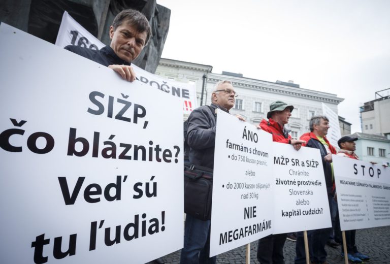protest proti farme ošípaných