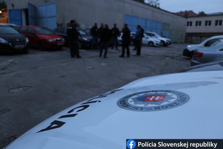 policia, akcia Festival