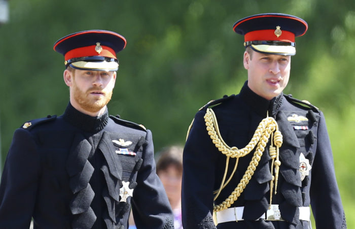 princ Harry, princ William