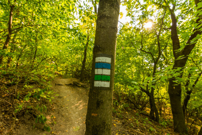 turistická značka, les