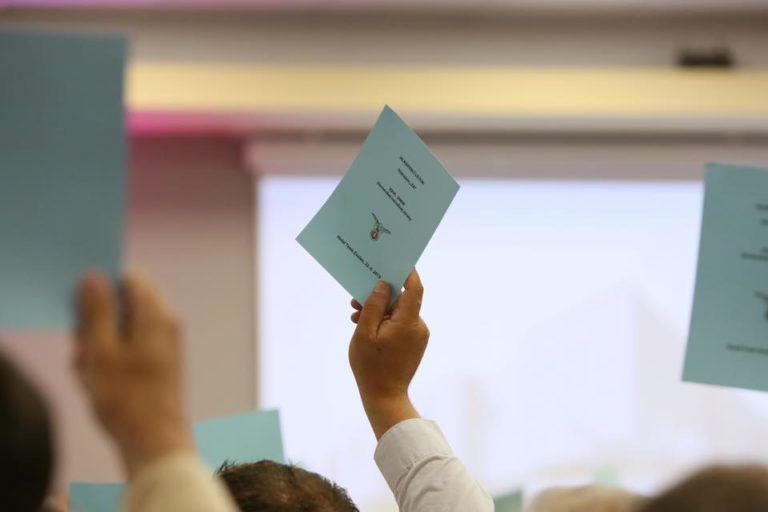 Snem Slovenskej národnej strany