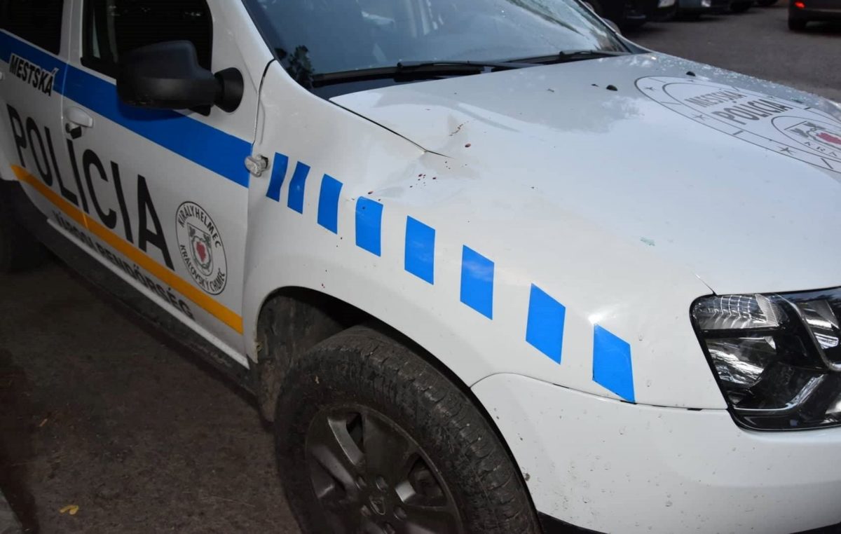 útok sekerou, polícia SR