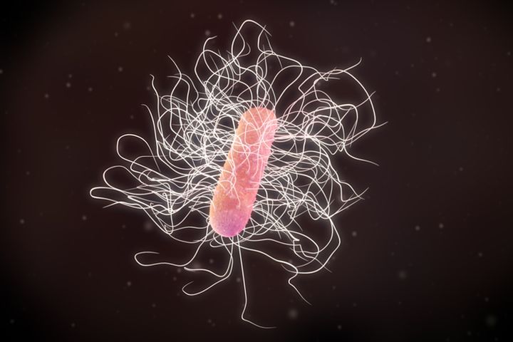 Clostridium difficile