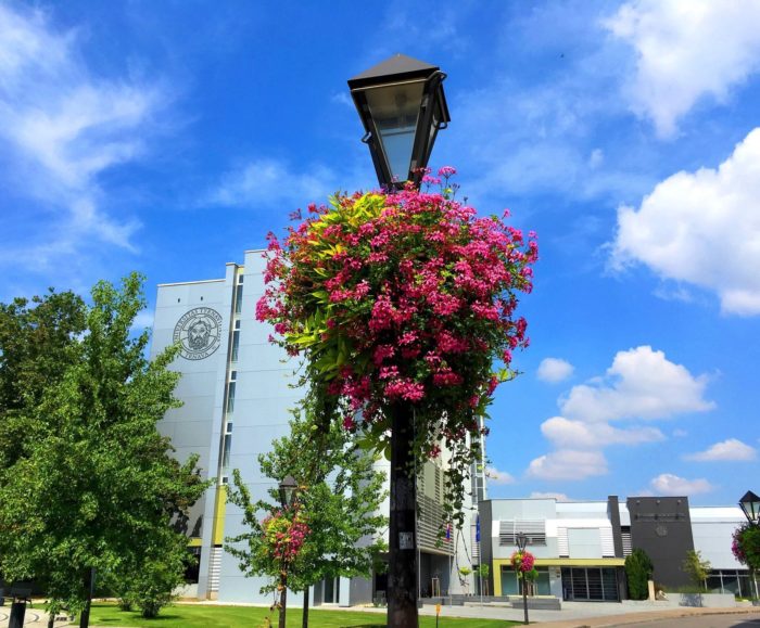 Trnavská univerzita