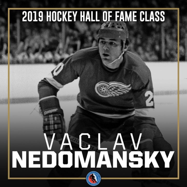 Václav Nedomanský