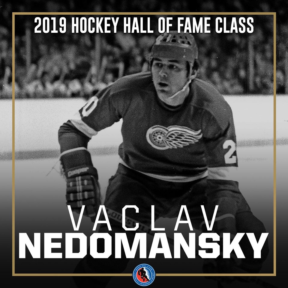 Václav Nedomanský