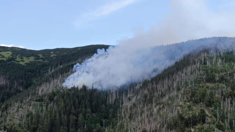 požiar, les, Bystrá