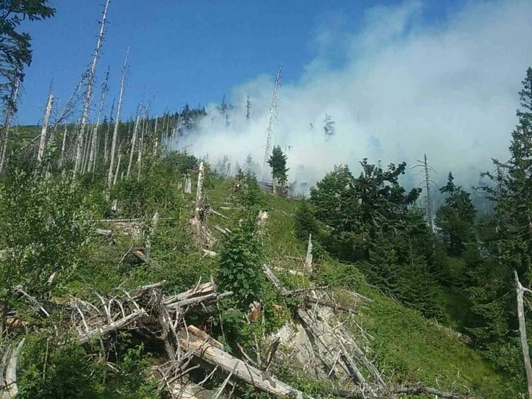 požiar, les, Bystrá