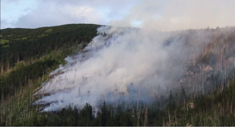 požiar, les, Bystrá