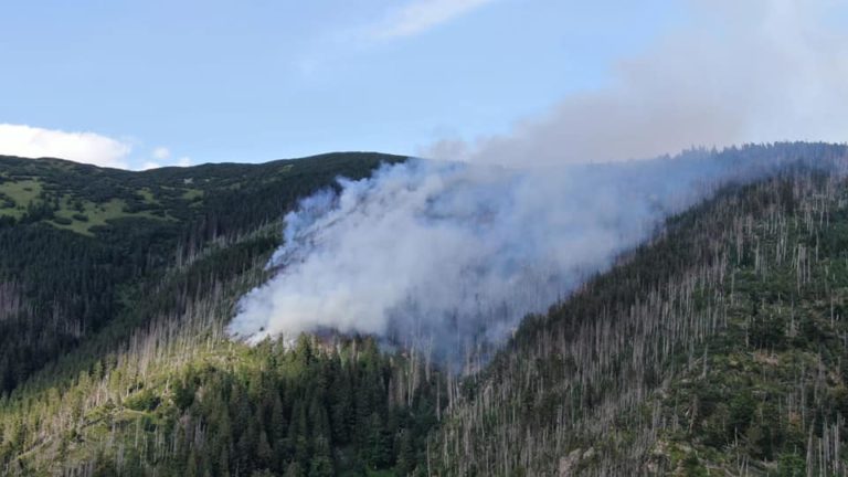 požiar, les, Bystrá