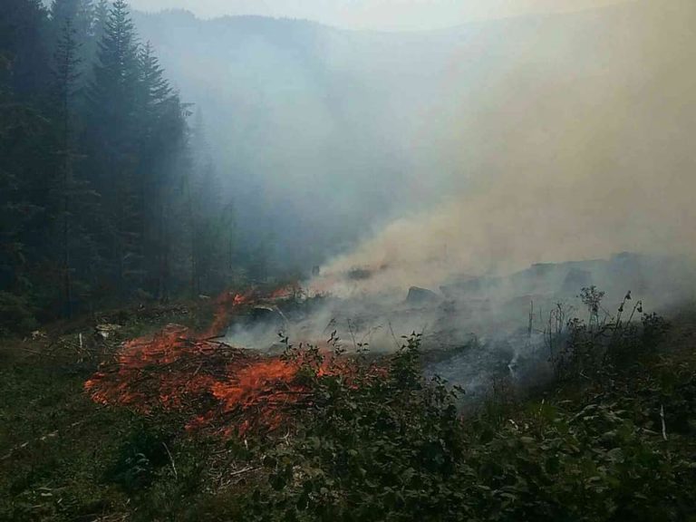 Lesný požiar, Orava