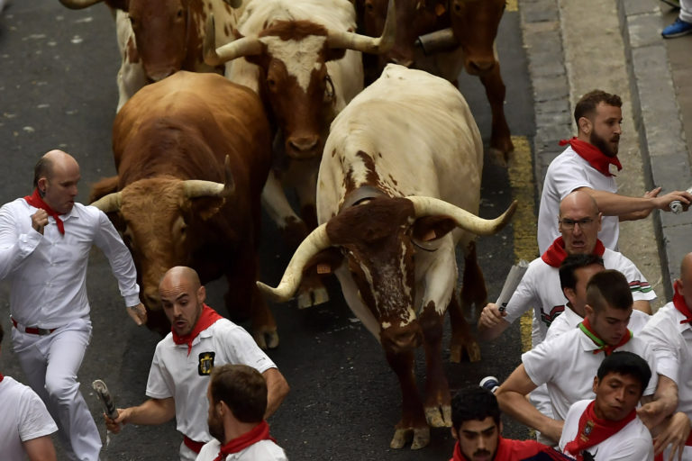 Beh s býkmi, Pamplona
