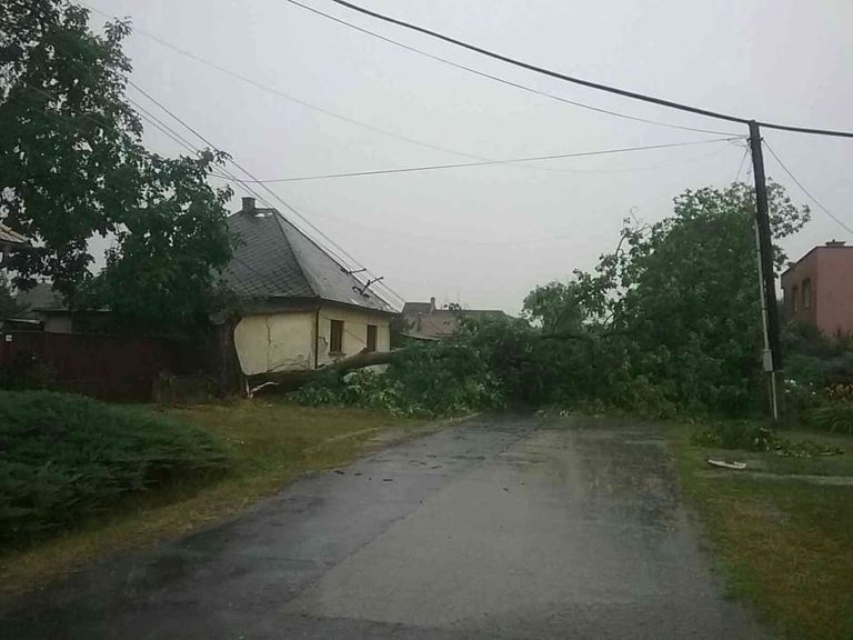 búrka, hasiči