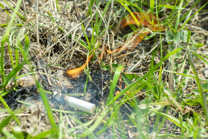 les, cigareta, požiar, oheň