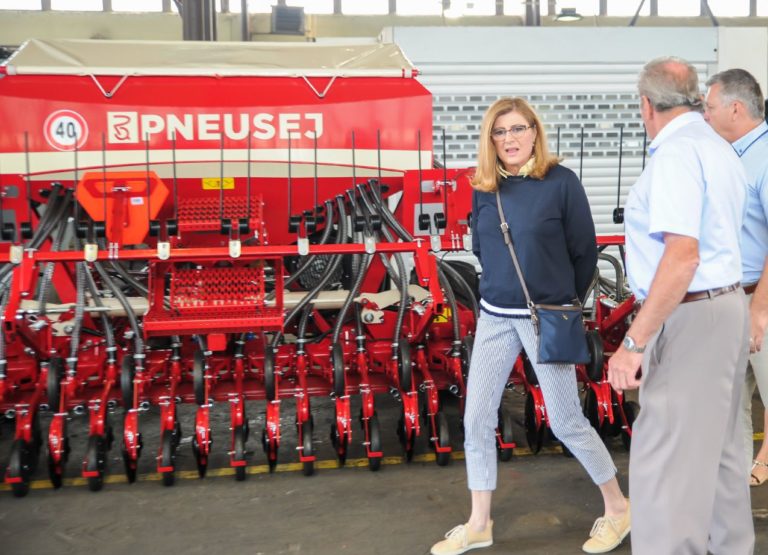 Gabriela Matečná, žatva