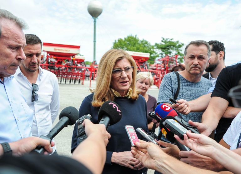 Gabriela Matečná, žatva