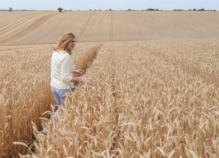Gabriela Matečná, žatva