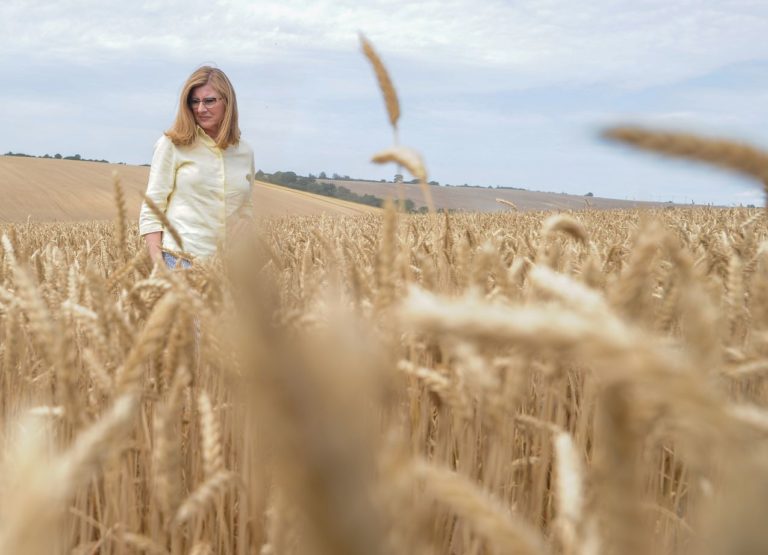 Gabriela Matečná, žatva