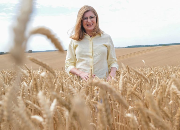 Gabriela Matečná, žatva