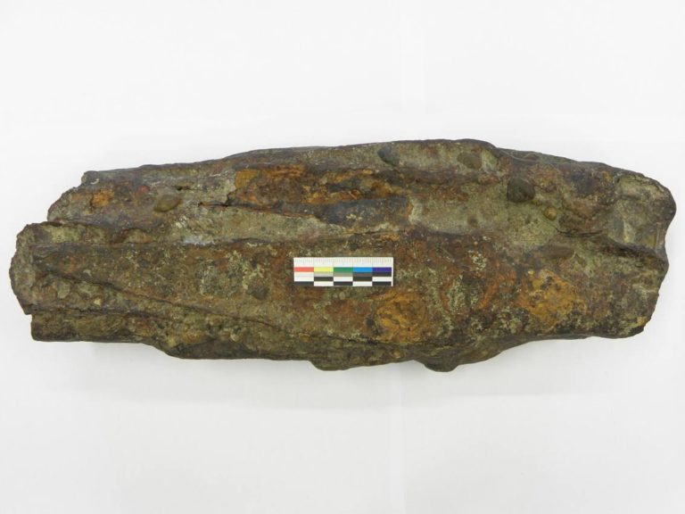 archeologický nález, Hlohovec