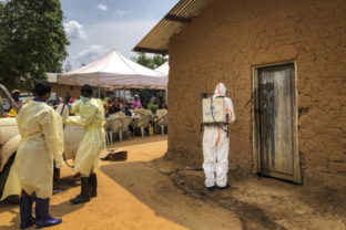 ebola, Kongo