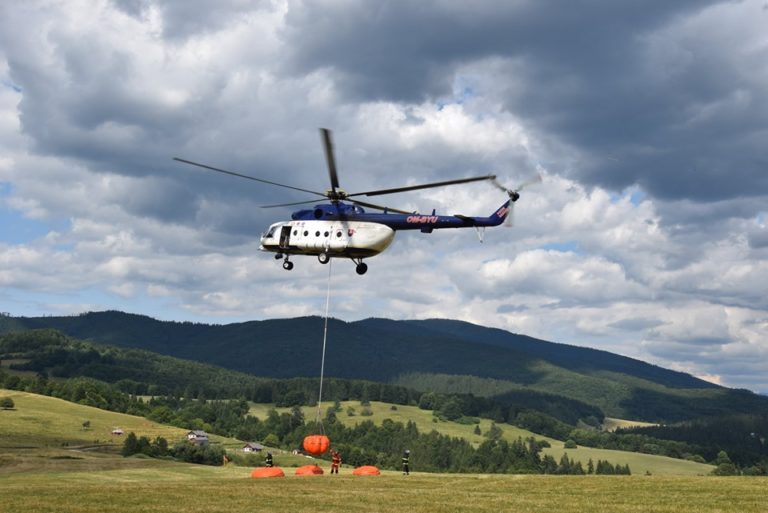požiar, Brezno, les