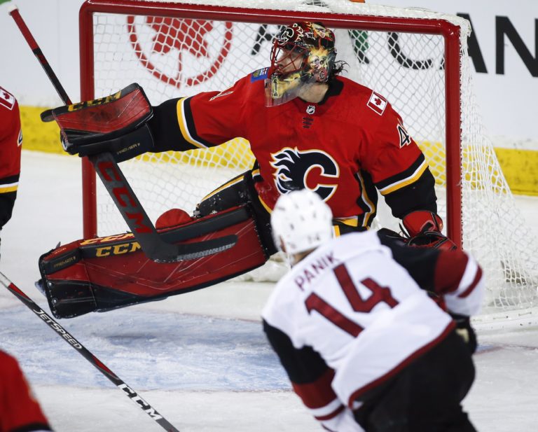 Richard Pánik, NHL,, Arizona Coyotes