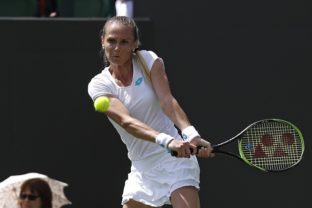 Magdaléna Rybáriková, Wimbledon