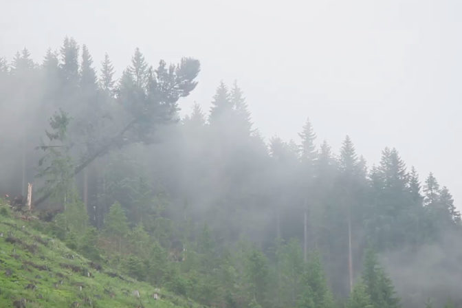 Sni mka obrazovky 2019 07 02 o 15.43.27.jpg