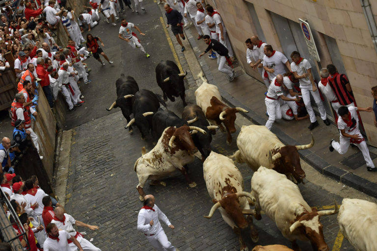 Beh s býkmi, Pamplona