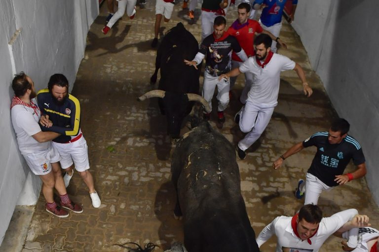 Beh s býkmi, Pamplona
