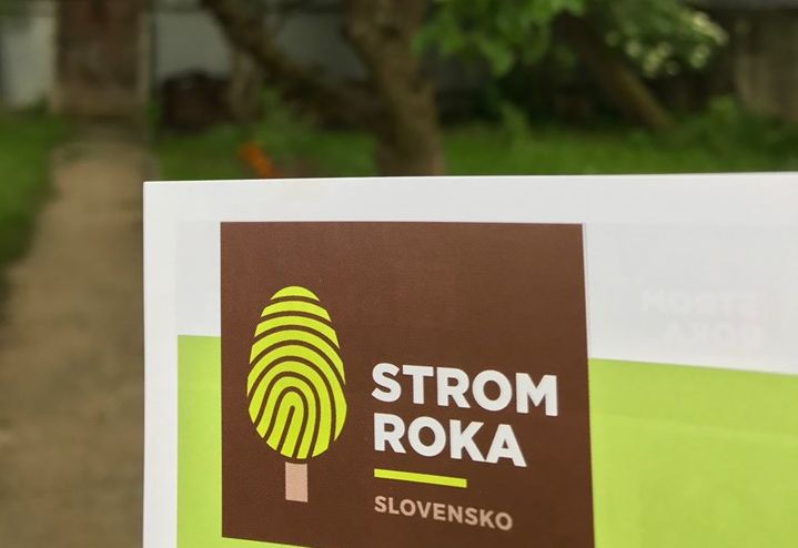 Strom roka