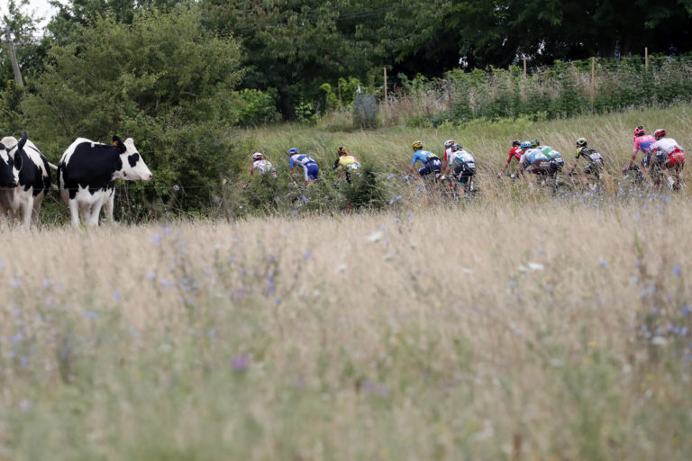 Tour de France 2019 - 12. etapa