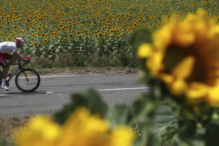 Anthony Perez, Tour de France