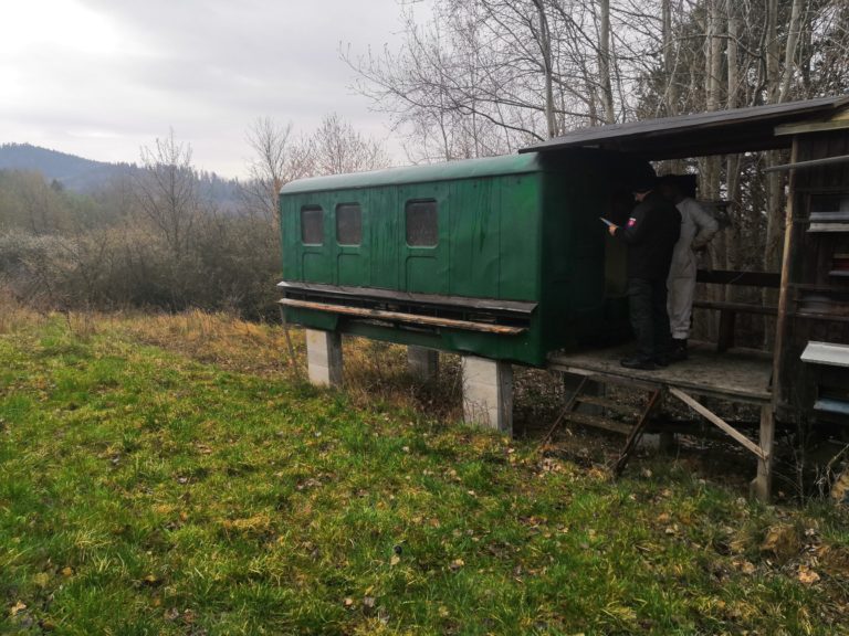 krádež, včely, úle