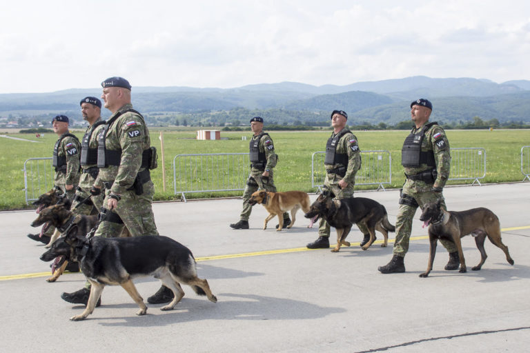 Armáda, Generálny nácvik vojenskej prehliadky