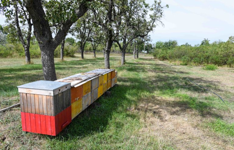 Oslava 100. výročia založenia prvej oficiálnej včelárskej organizácie na Slovensku