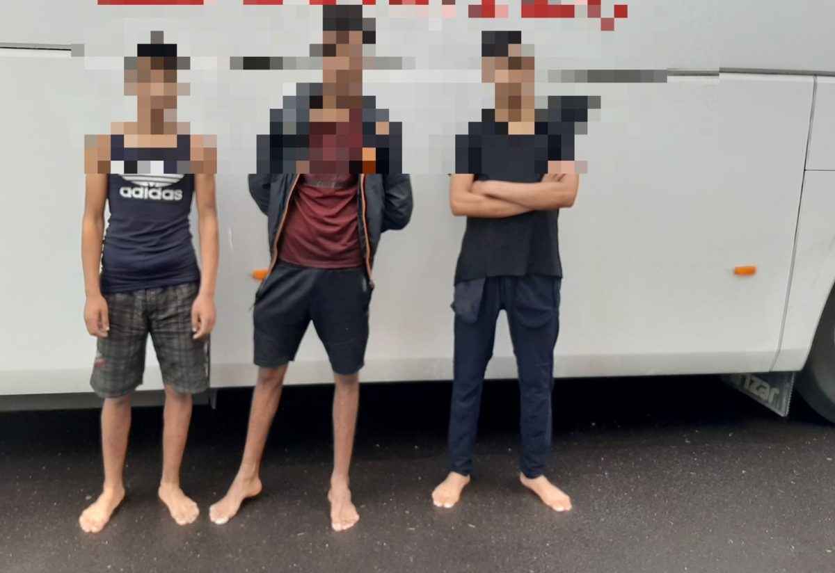 Migranti