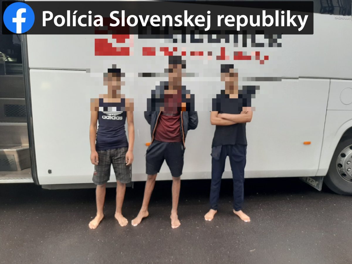 migranti