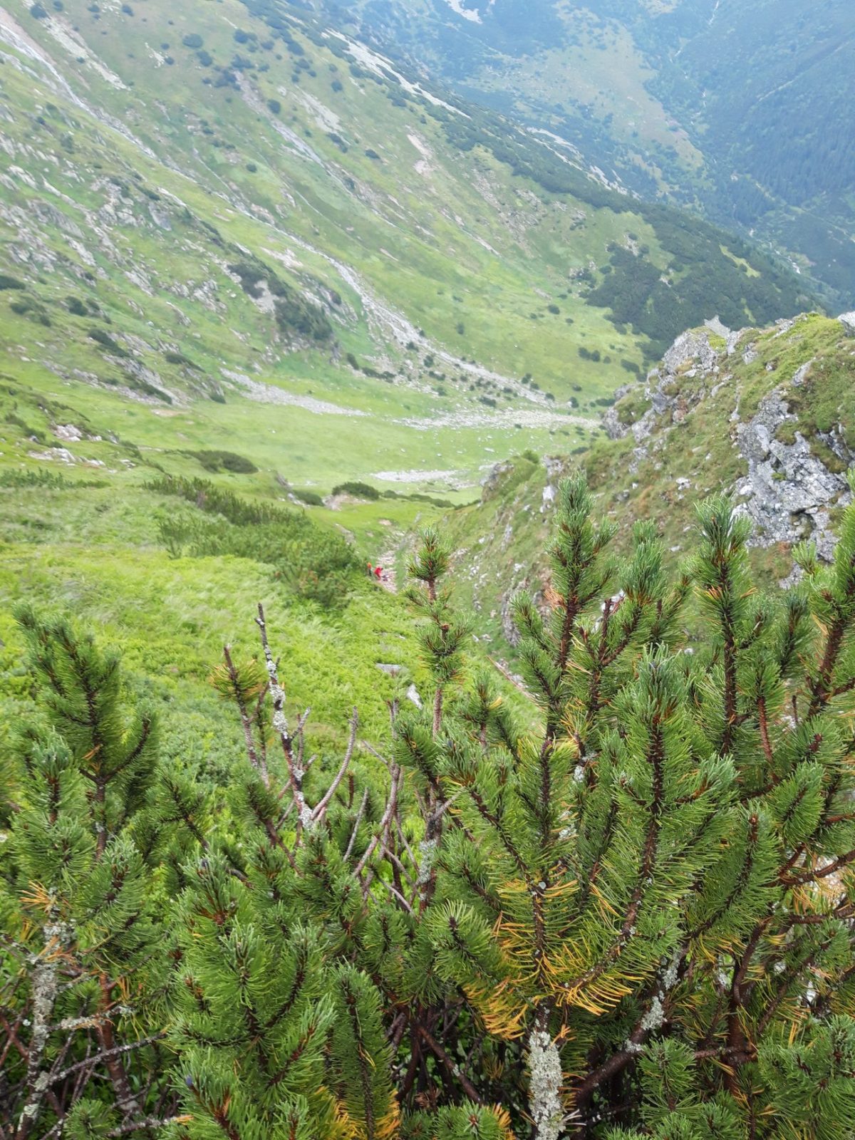 horská záchranná služba, turista