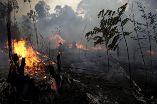 Brazília, lesné požiare