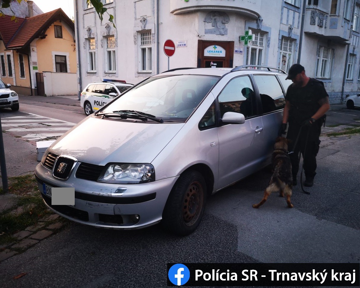 polícia, drogy, policajný pes, skladačky