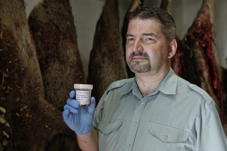 SOBRANCE: Opatrenia proti šíreniu afrického moru