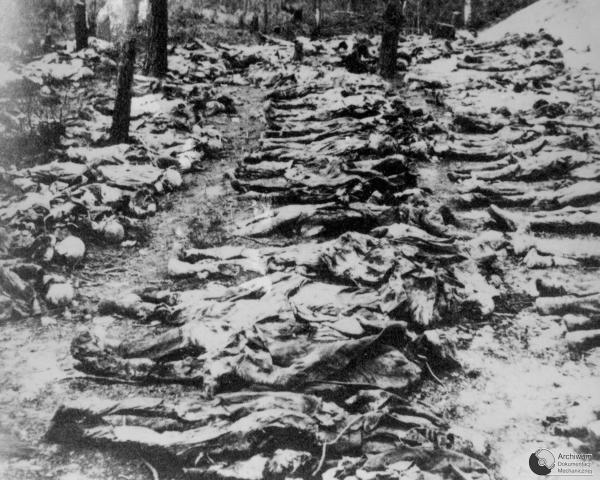 Exhumované telá poľských dôstojníkov v Katynskom lese